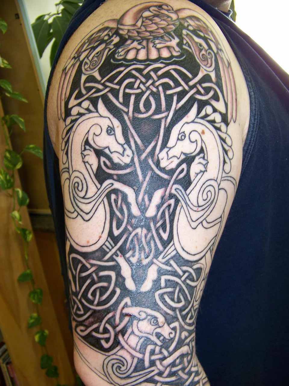 celtic animal tattoos designs
